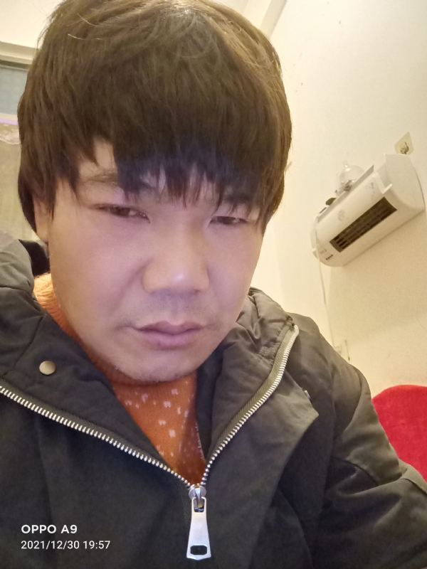 小鸟找窝的第二张照片--莆田婚介网