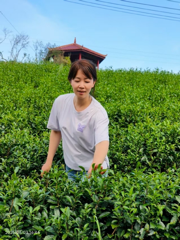 Q绮芳的第一张照片--莆田婚介网